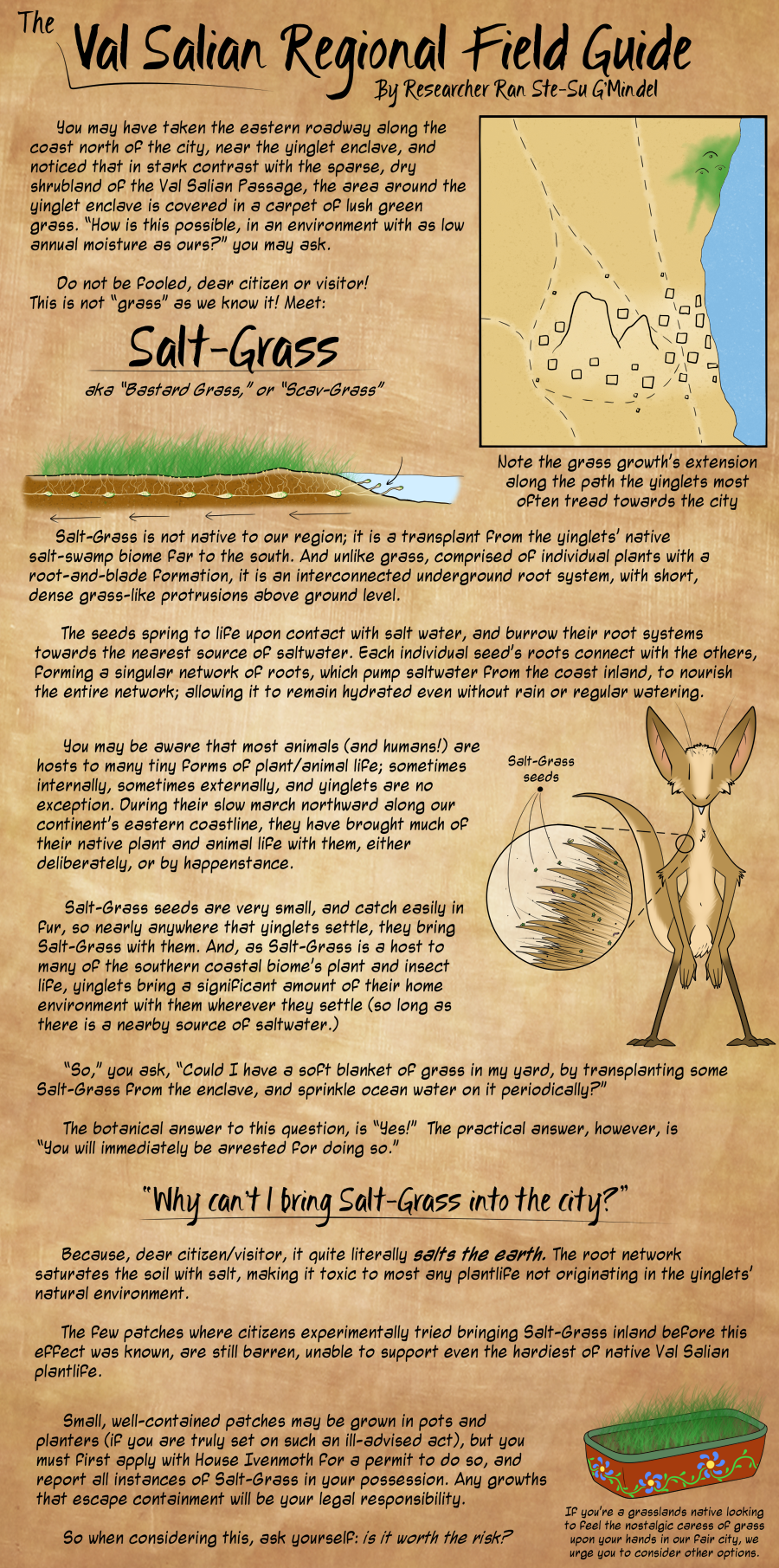 OOPs #349, Field Guide: Salt-Grass